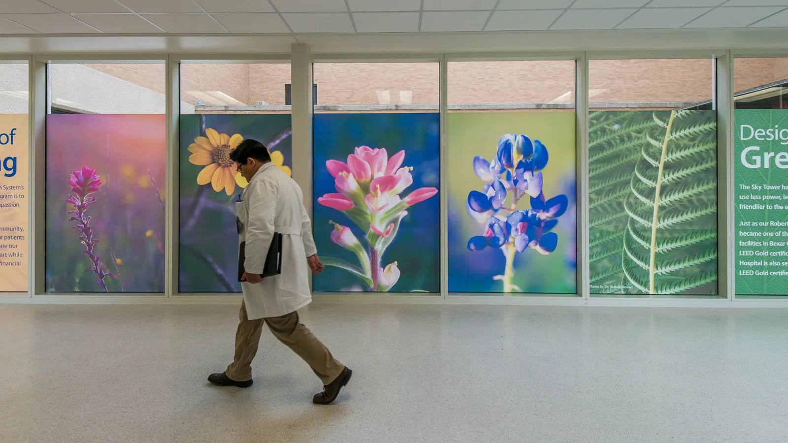 Wall Murals in San Antonio